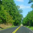 The Road To Suicide – A Wolf In Sheep’s Clothing