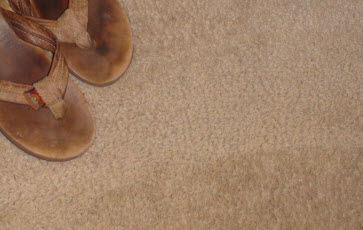 Top 10 Reasons Not To Have Carpet – Any Flooring vs Carpet