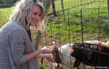 Goats Have Wet Tongues On Grave's Mountain