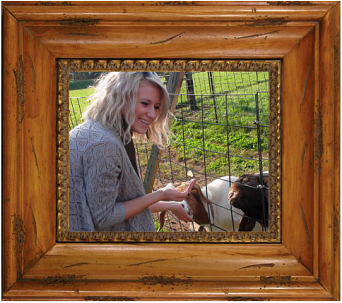 Goats Have Wet Tongues On Grave’s Mountain In Syria, Virginia