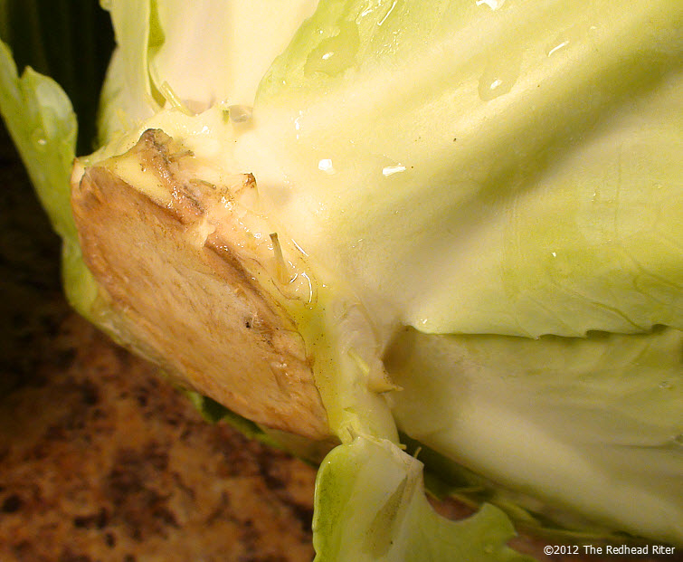 cabbage core cabbage core