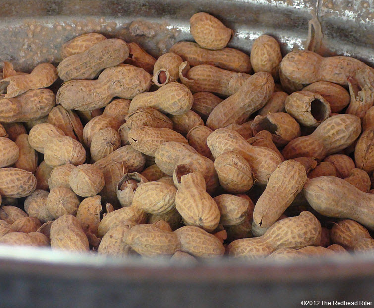 lots of peanuts to eat lots of peanuts to eat