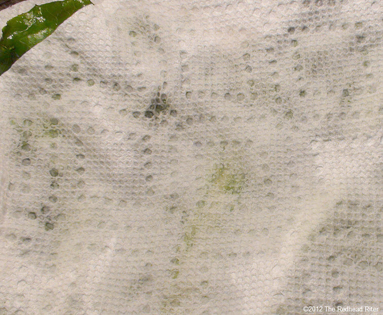 paper towel dry the lettuce 17