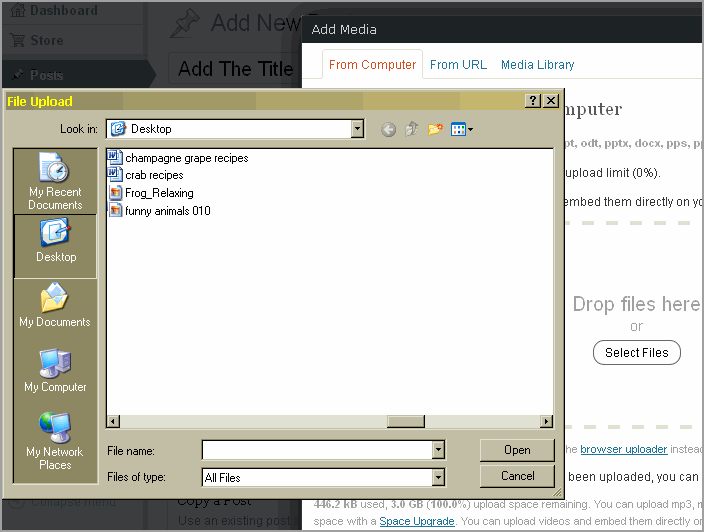 Create Post WordPress And Thesis05
