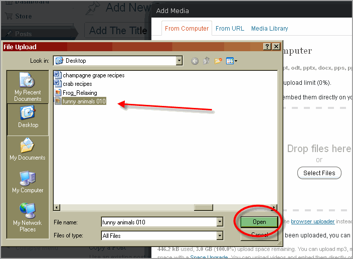 Create Post WordPress And Thesis06