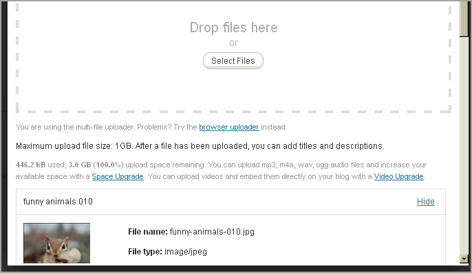 Create Post WordPress And Thesis07