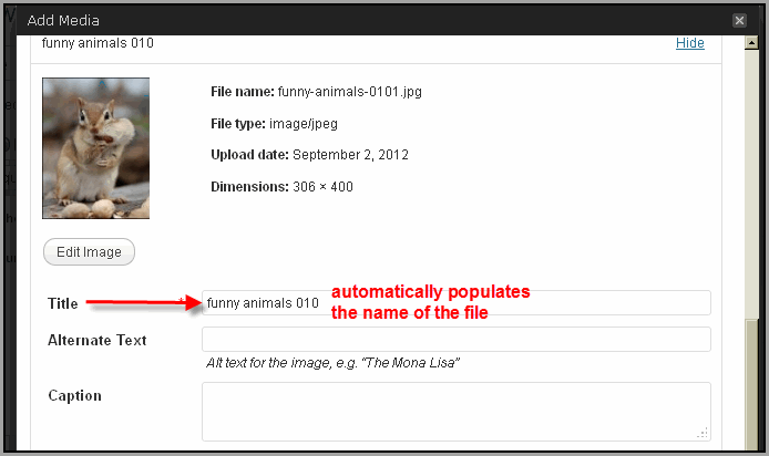 Create Post WordPress And Thesis08