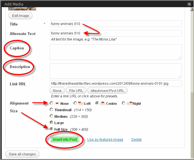 Create Post WordPress And Thesis09