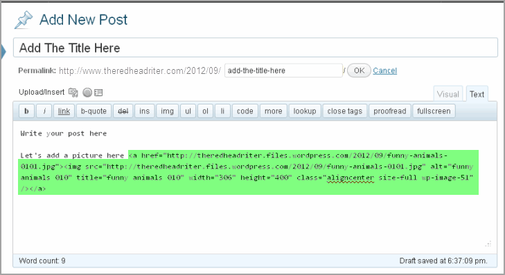 Create Post WordPress And Thesis10