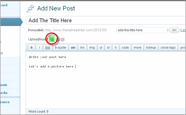 Create Post WordPress And Thesis11