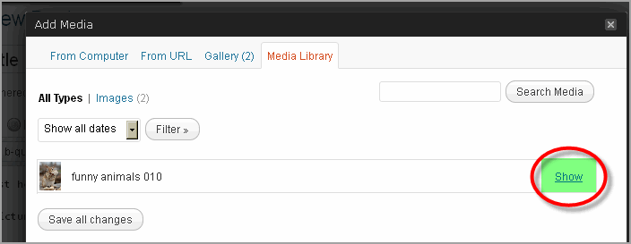 Create Post WordPress And Thesis13