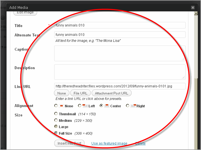 Create Post WordPress And Thesis14