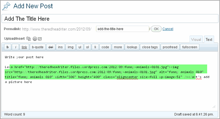 Create Post WordPress And Thesis15