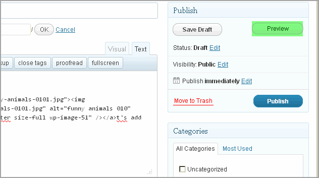 Create Post WordPress And Thesis16