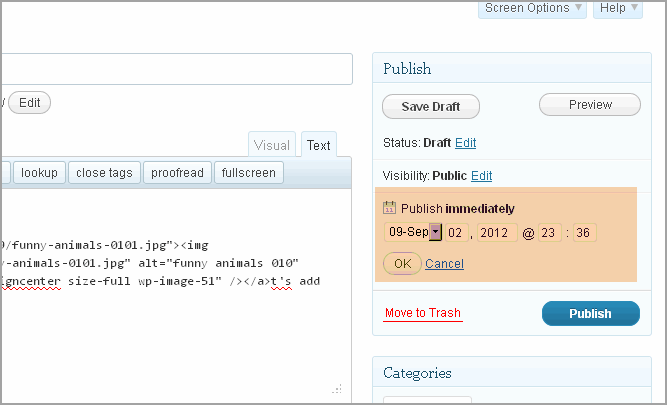Create Post WordPress And Thesis17