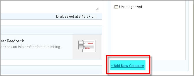 Create Post WordPress And Thesis18