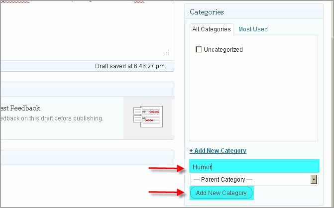 Create Post WordPress And Thesis19