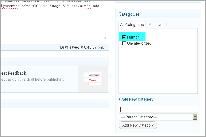 Create Post WordPress And Thesis20