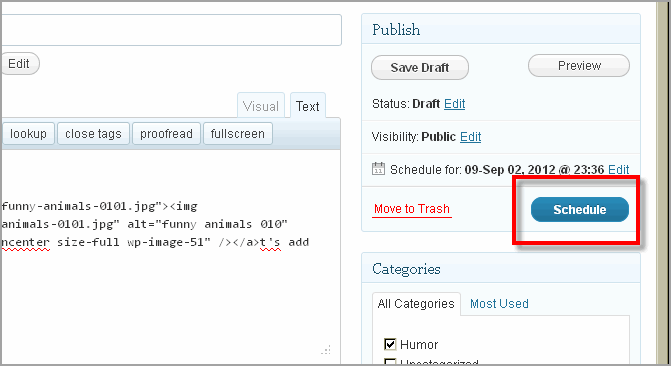 Create Post WordPress And Thesis21