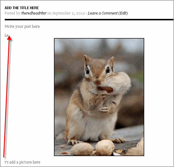 Create Post WordPress And Thesis24