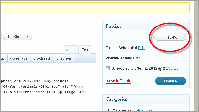Create Post WordPress And Thesis26