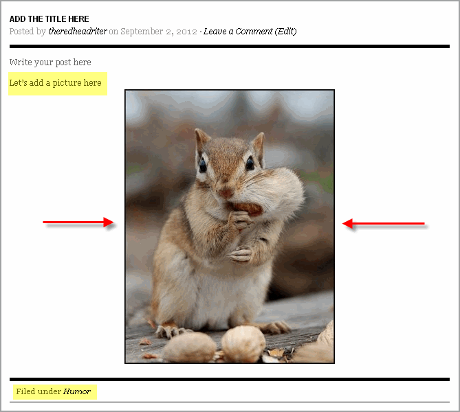 Create Post WordPress And Thesis27