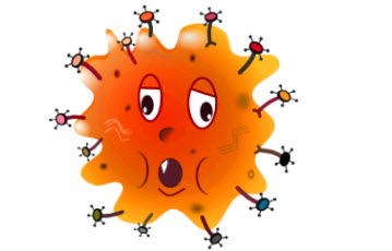 nasty 2013 flu germ