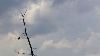 Self-Examination, Meditation And Being Alone