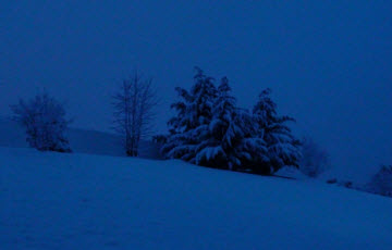 Thumbnail image for Dust Of Snow by Robert Frost – Relevant For Today