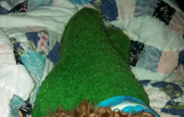 Thumbnail image for With Or Without Blankets